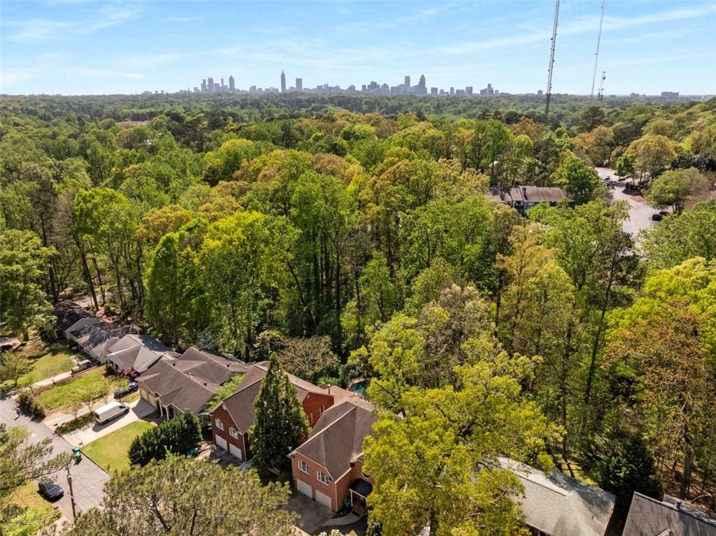 1020 Burton Drive, Atlanta, Georgia image 29