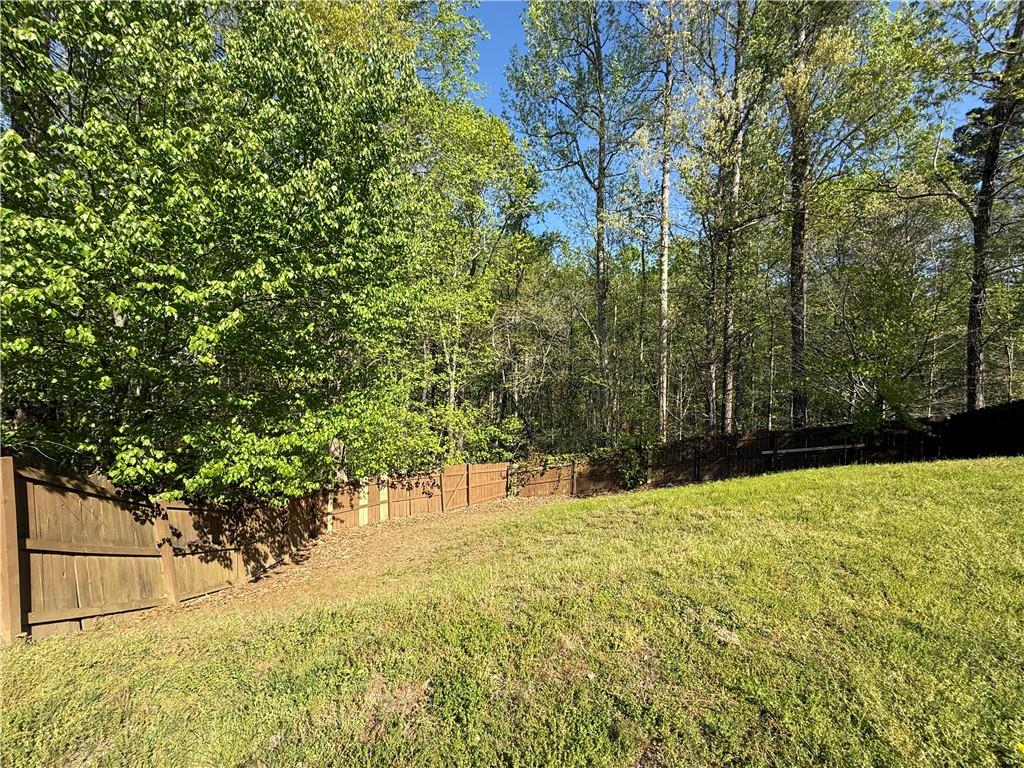 433 Orchid Lane, Canton, Georgia image 14