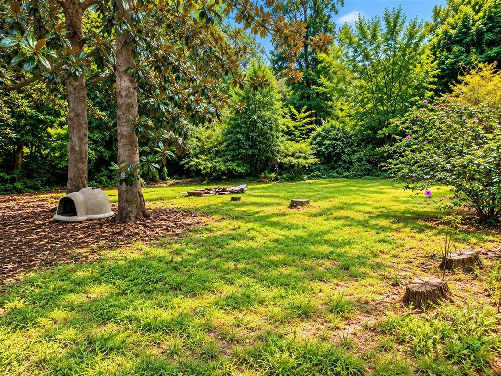 127 Ellendale Lane