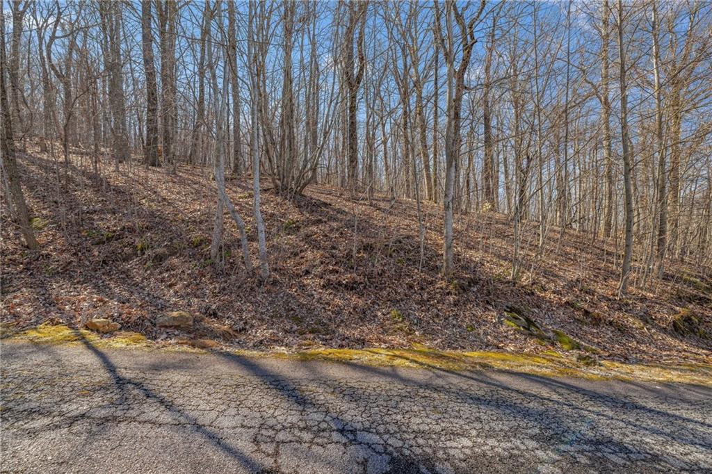00 Mountainside Drive, Cleveland, Georgia image 9