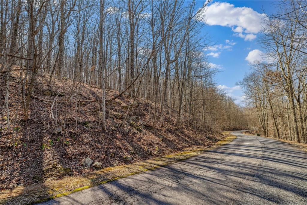 00 Mountainside Drive, Cleveland, Georgia image 10