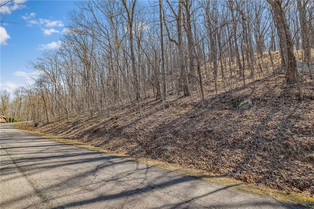 00 Mountainside Drive, Cleveland, Georgia image 11