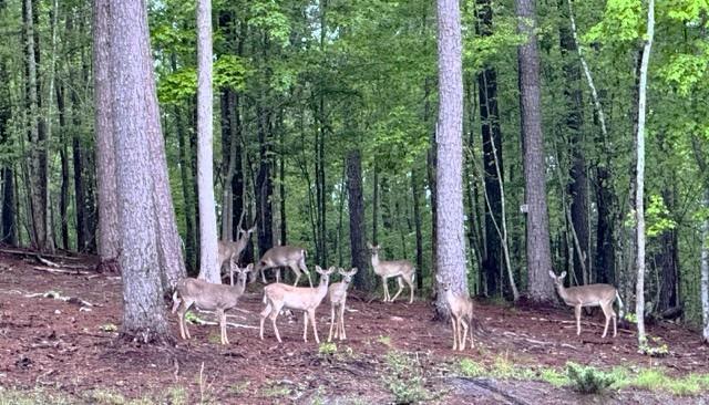 Blackberry Ridge - Residential