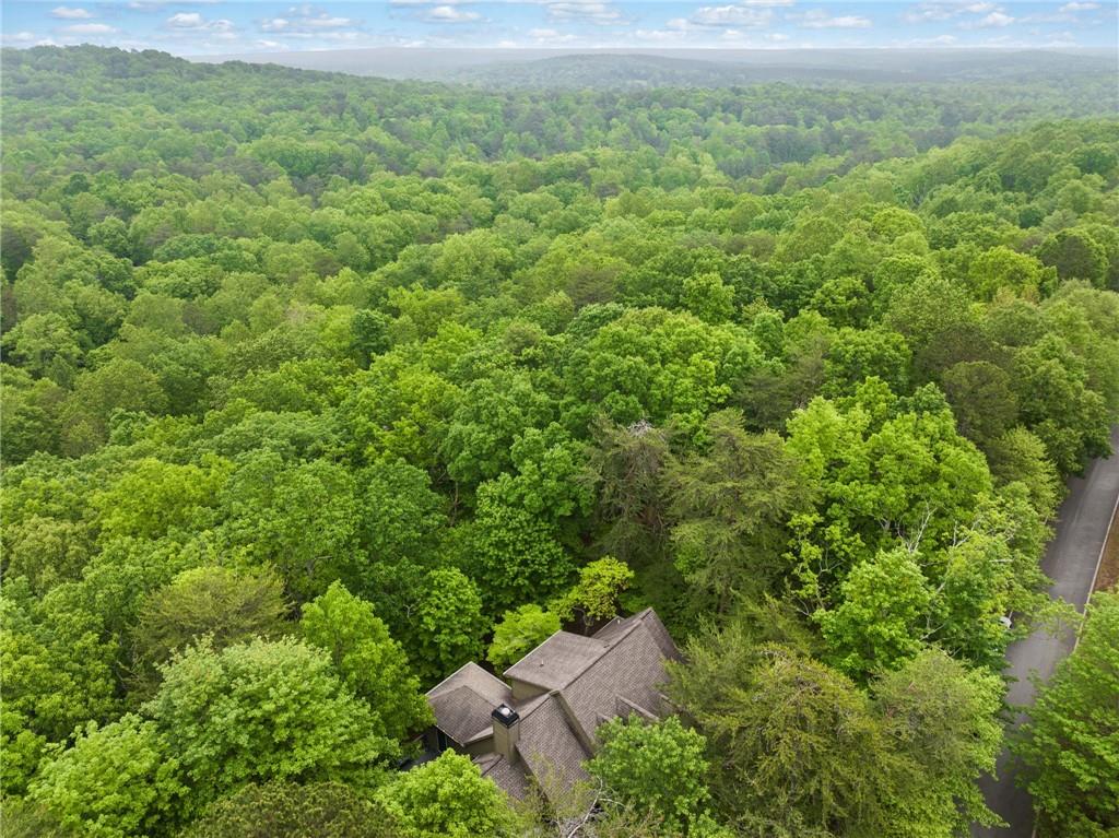 122 Woodstream Point, Big Canoe, Georgia image 38