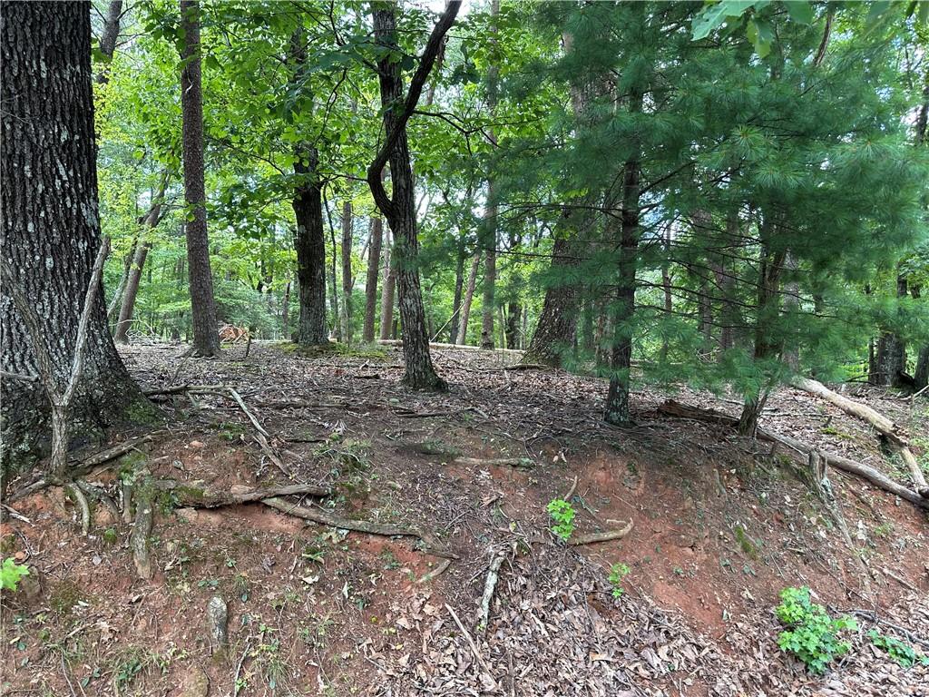 The perfect corner lot in walking distance to the dam on beautiful lake tamarack in Bent Tree . This community offers 24 hour security, gated, championship golf course, indoor outdoor tennis, 110+/- acre lake to fish or enjoy canoeing and a wonderful beach with pavilion to grill out and relax and enjoy the North Georgia mountains at its best. You can also visit the adult or teen pools.
This lot has the perfect building site for your dream home and its .98 acres. Call today this one will not last !