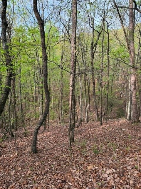 226 Crested Fern Lane