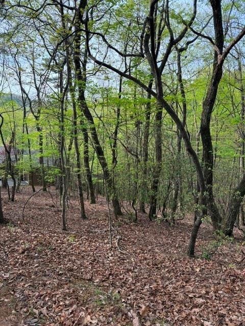 226 Crested Fern Lane