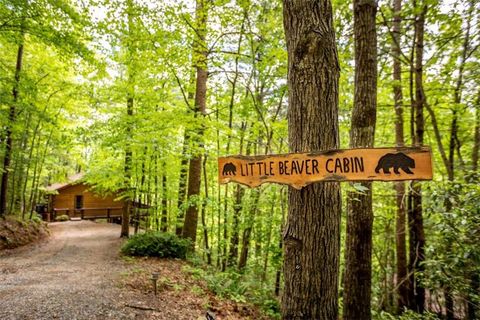 137 Little Beaver Drive Cherry Log GA 30522