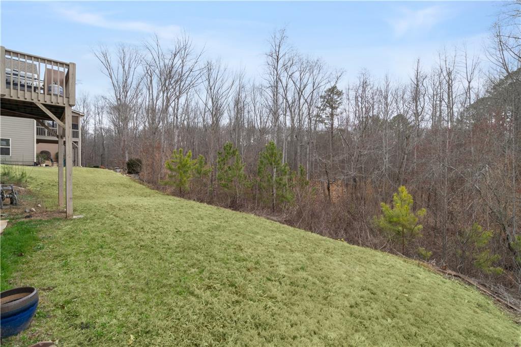 108 N Mountain Brooke Drive, Ball Ground, Georgia image 33