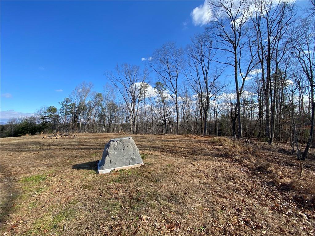 11.88 Acres Sheep Wallow Rd, Dahlonega, Georgia image 11