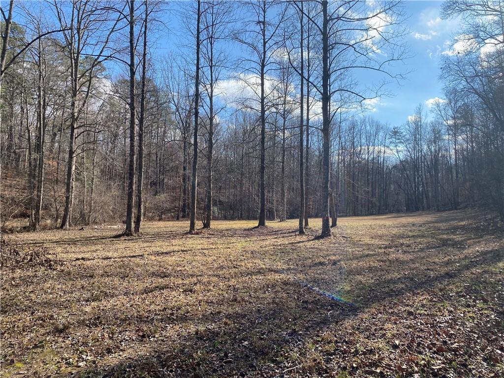 11.88 Acres Sheep Wallow Rd, Dahlonega, Georgia image 2