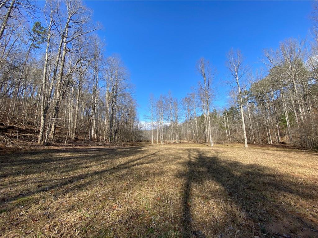 11.88 Acres Sheep Wallow Rd, Dahlonega, Georgia image 1