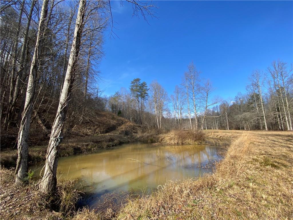 11.88 Acres Sheep Wallow Rd, Dahlonega, Georgia image 6