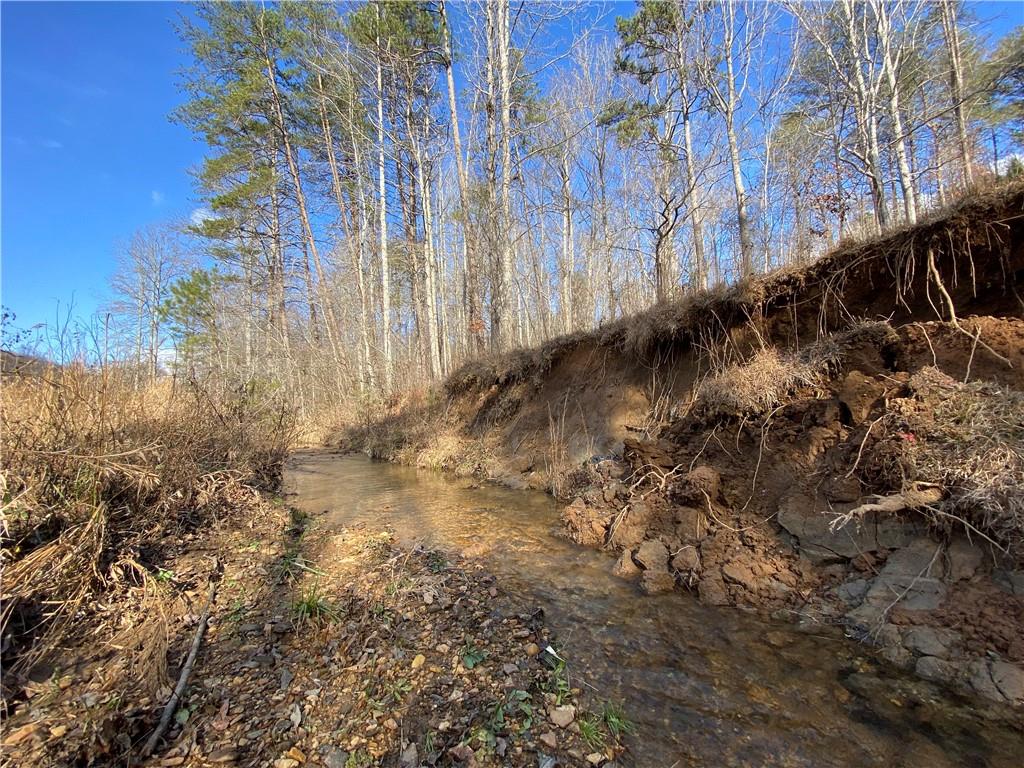 11.88 Acres Sheep Wallow Rd, Dahlonega, Georgia image 4