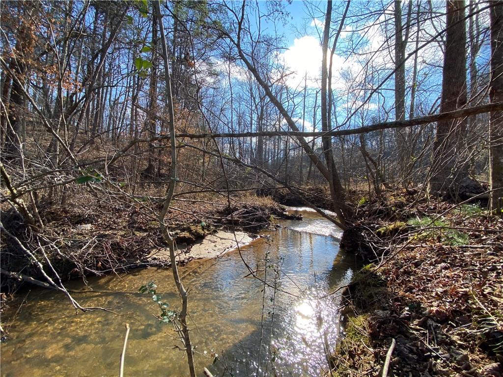 11.88 Acres Sheep Wallow Rd, Dahlonega, Georgia image 3