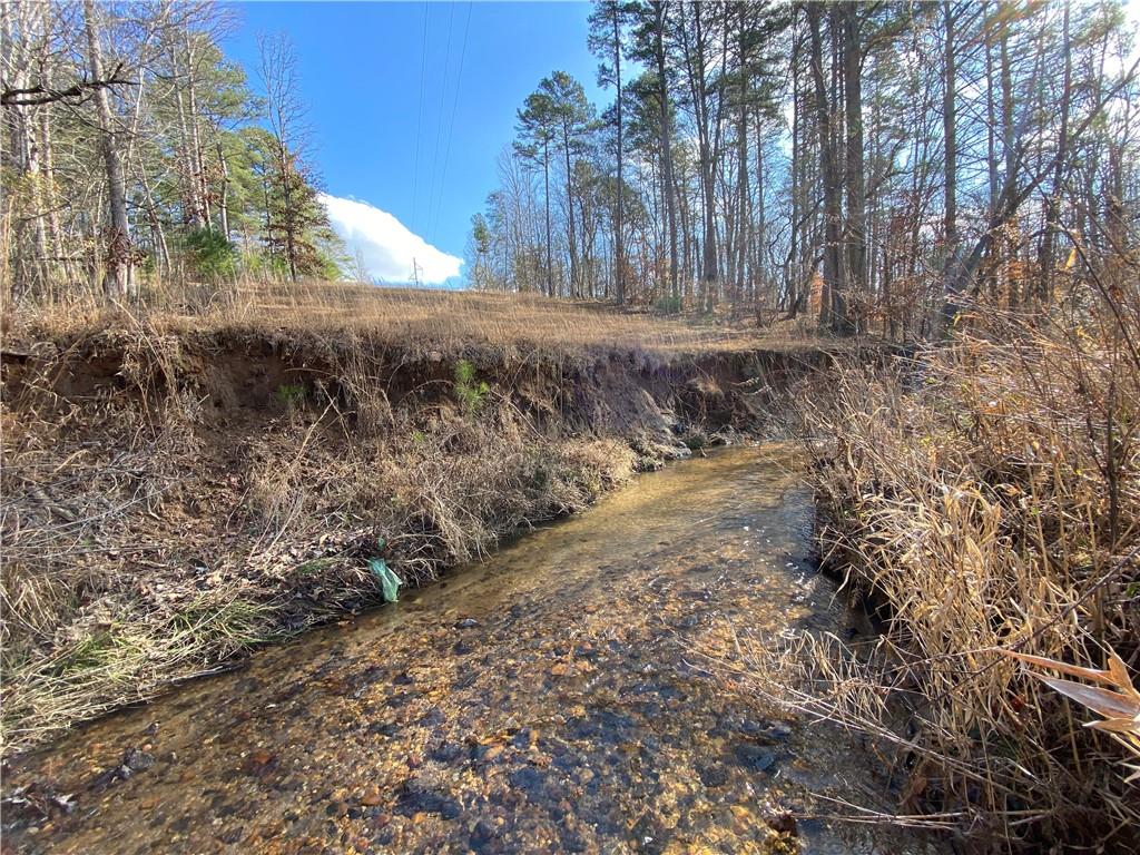 11.88 Acres Sheep Wallow Rd, Dahlonega, Georgia image 5