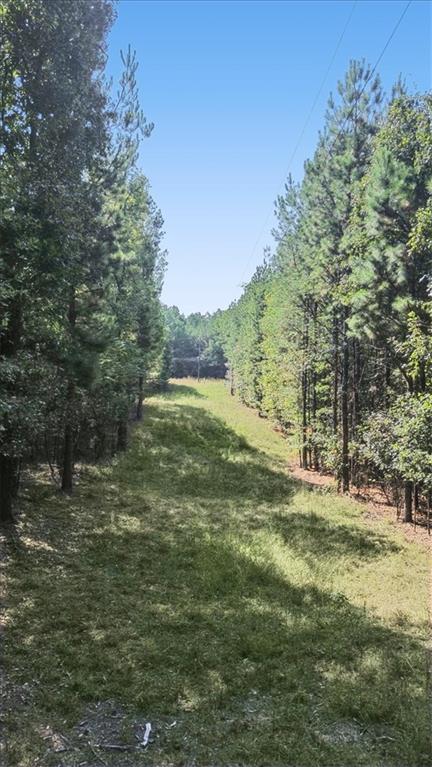 3371 Morton Bend Road SW