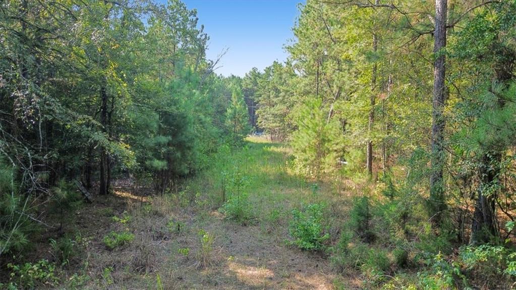 3371 Morton Bend Road SW