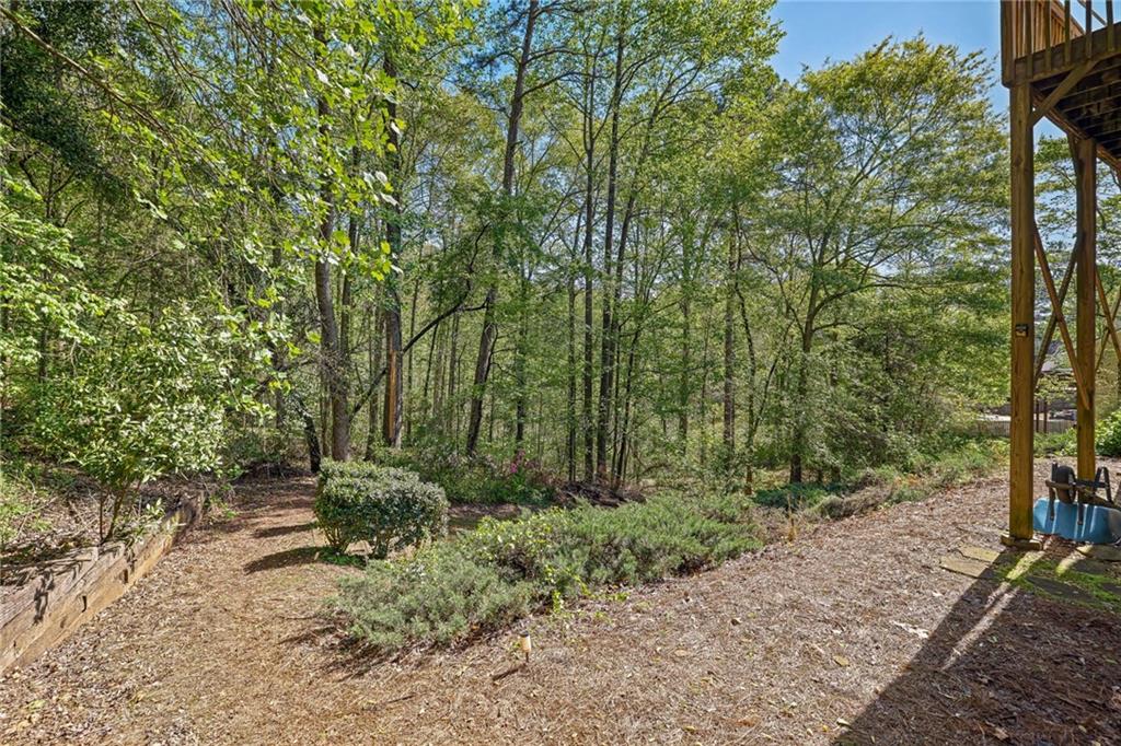 4490 Caney Fork Circle, Braselton, Georgia image 7