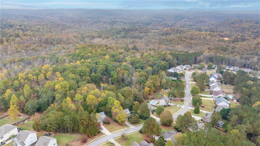 4490 Caney Fork Circle, Braselton, Georgia image 45