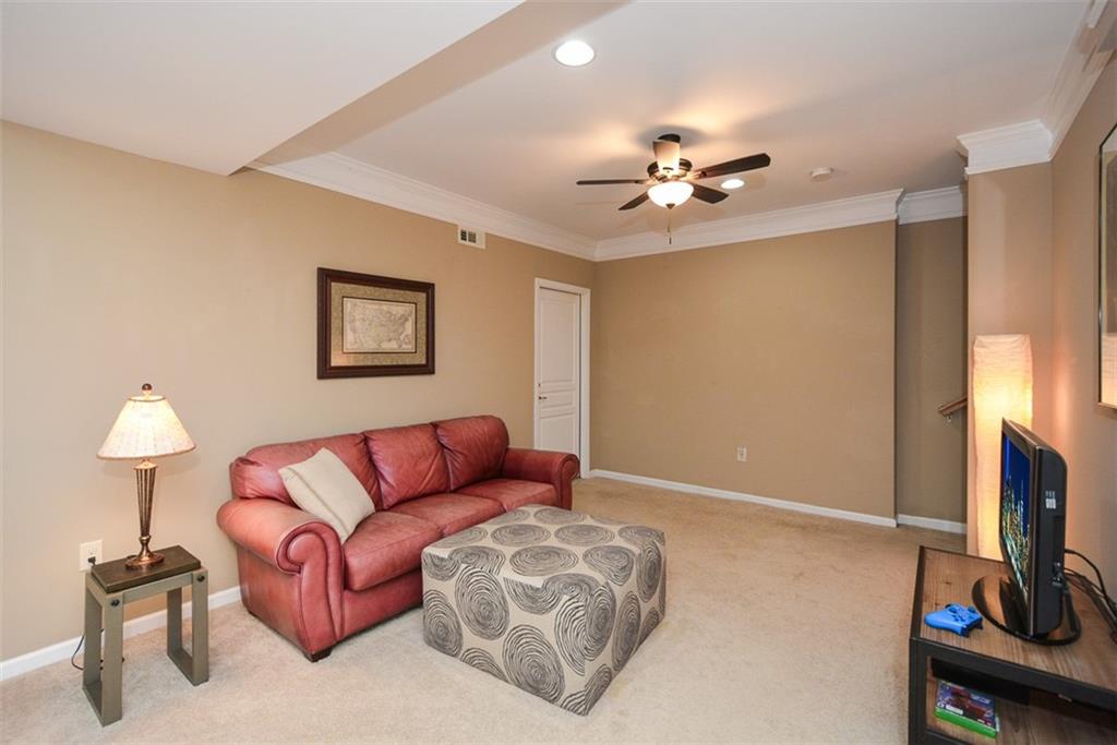 221 Aster Court, Canton, Georgia image 45