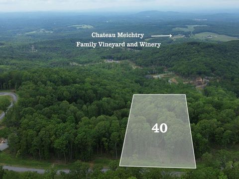 Vacant Land For Sale - 40 High Summit Drive<br/> Talking Rock, GA 30175