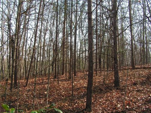 Vacant Land For Sale - Mount Pleasant Church Road<br/> Cleveland, GA 30528