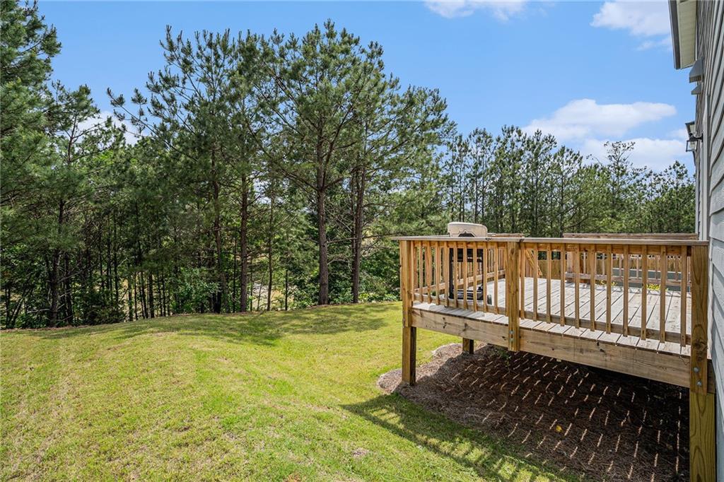 279 Persian Ivy Way, Dallas, Georgia image 14
