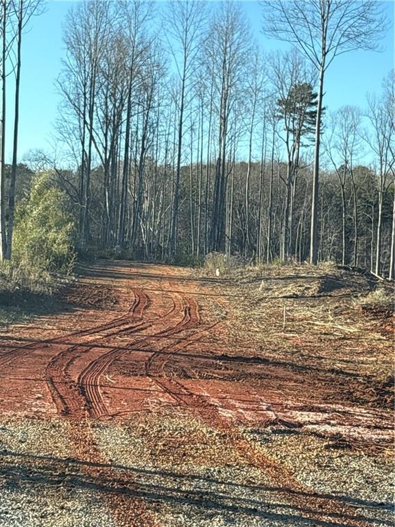 Dawsonville Highway, Dahlonega, Georgia image 5