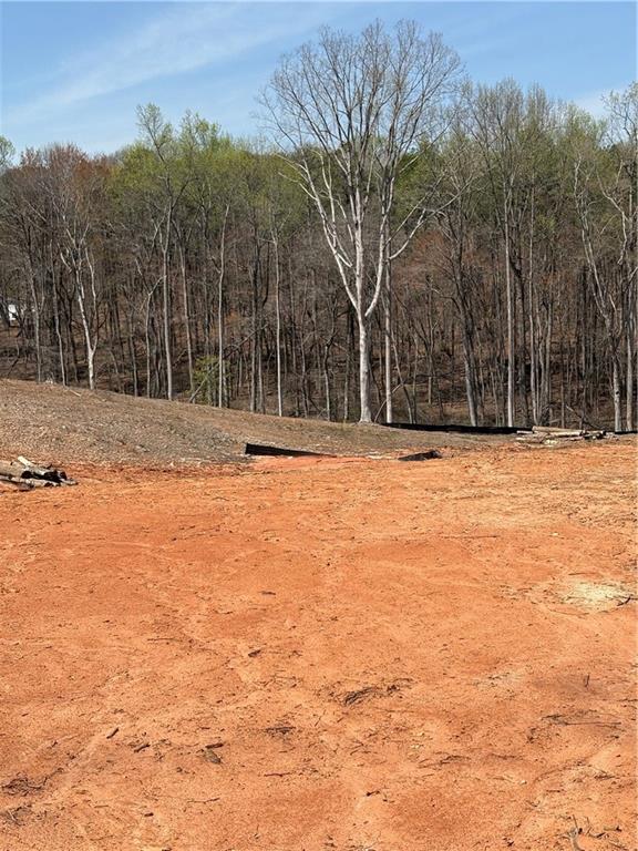 Dawsonville Highway, Dahlonega, Georgia image 3