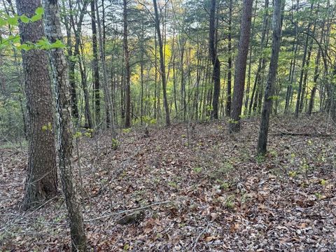 Vacant Land For Sale - 1057 Mayfield Lane<br/> Ranger, GA 30734