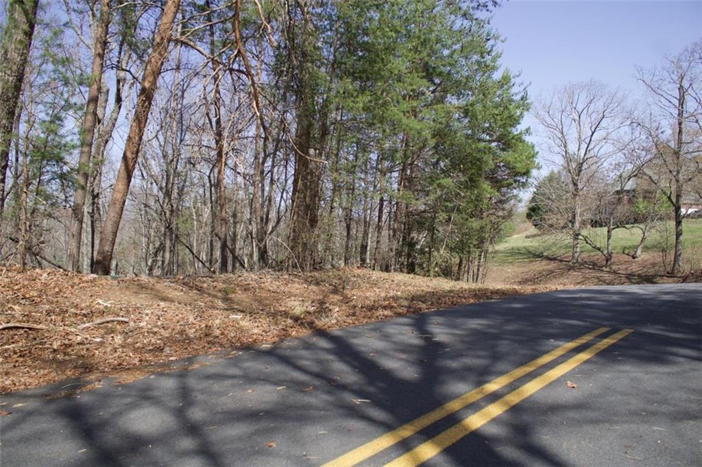 Tanager Trail, Alto, Georgia image 10