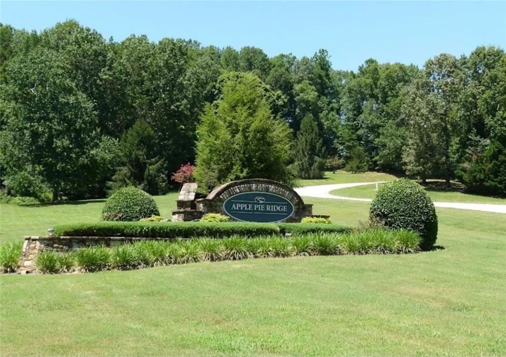 Tanager Trail, Alto, Georgia image 18