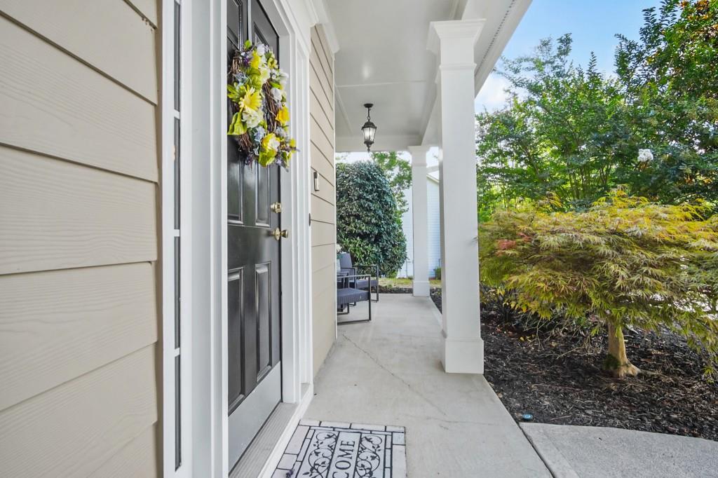 26 Lilyfield