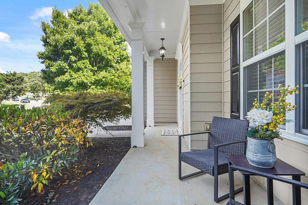 26 Lilyfield