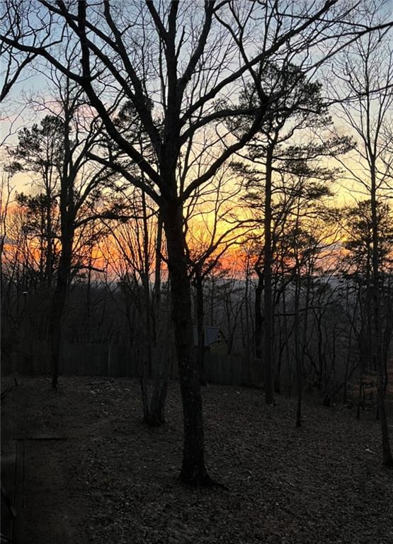 437 Mccurry Trail