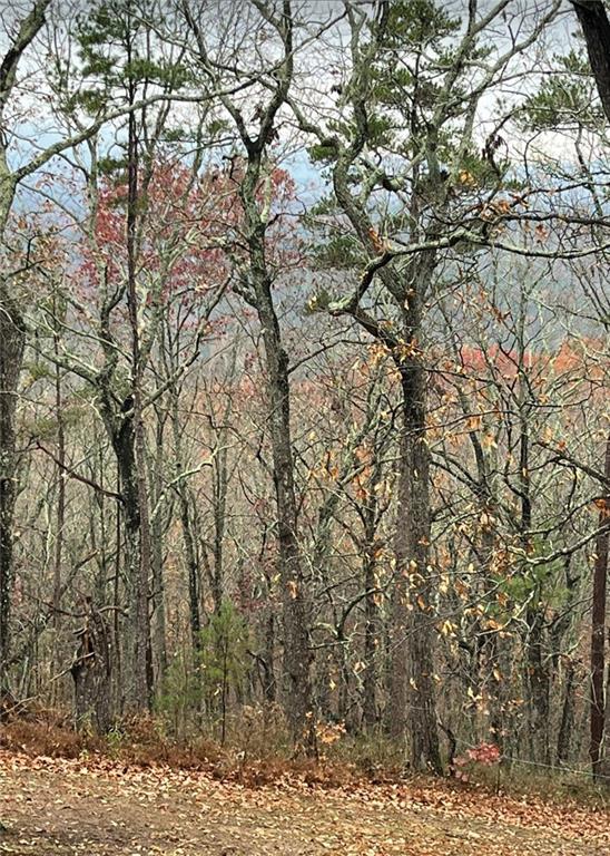 437 Mccurry Trail