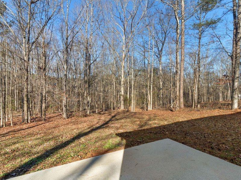 135 Kimbell Farm Drive, Locust Grove, Georgia image 11