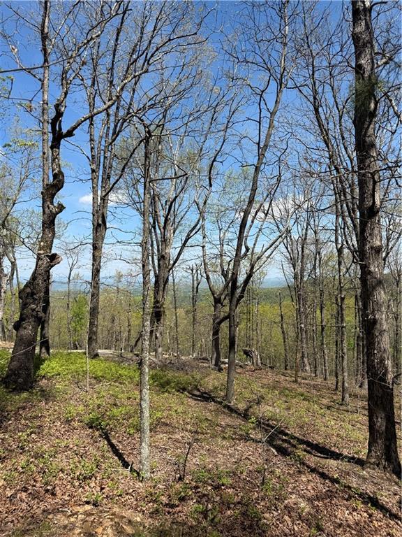 161 Sharp Mountain Parkway