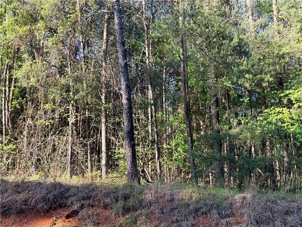 Photo of 7 Pea Ridge Road, Ball Ground, GA 30107 (MLS # 7841211)