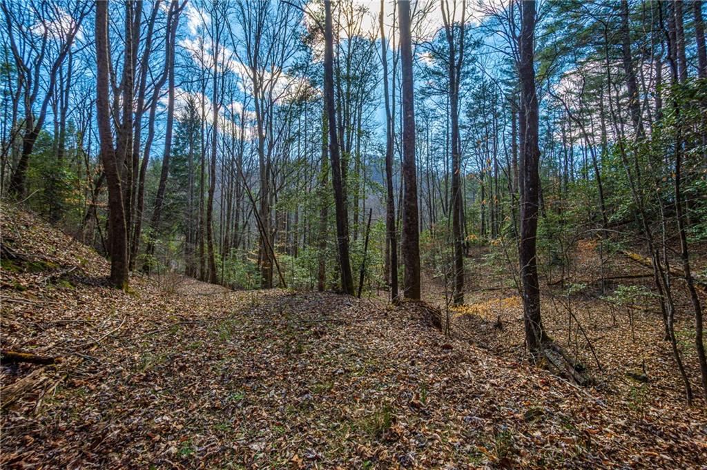 9 Blackbear Mountain Trail