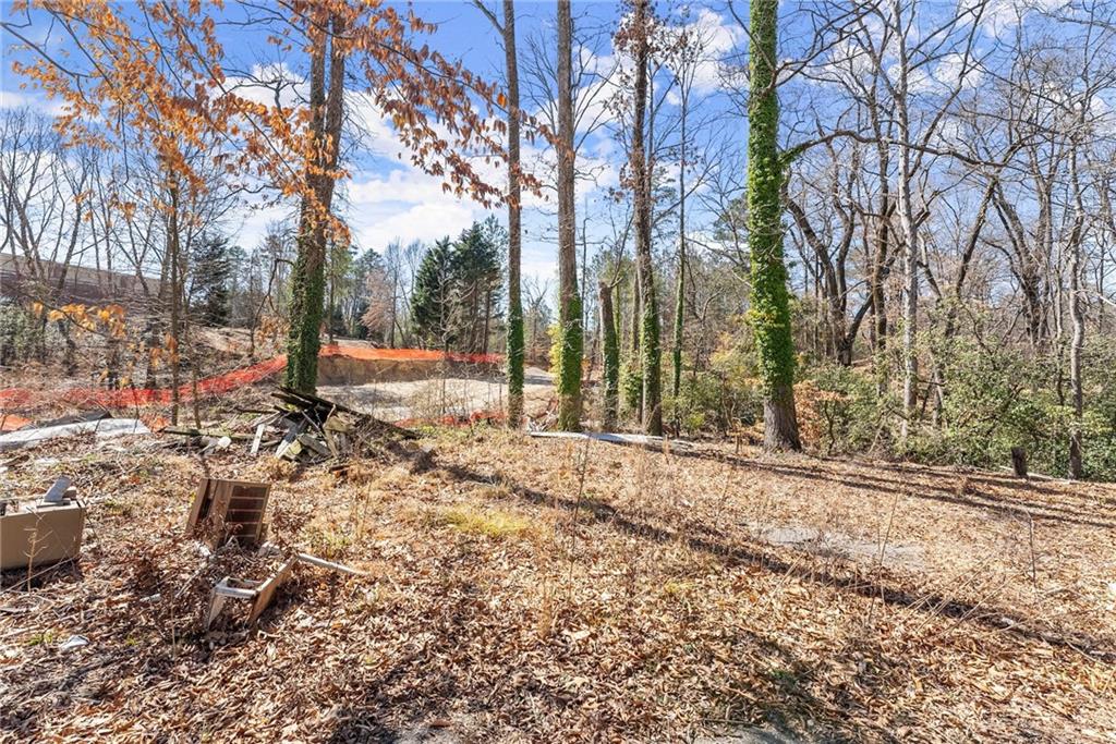 2832 Buford Drive, Buford, Georgia image 11