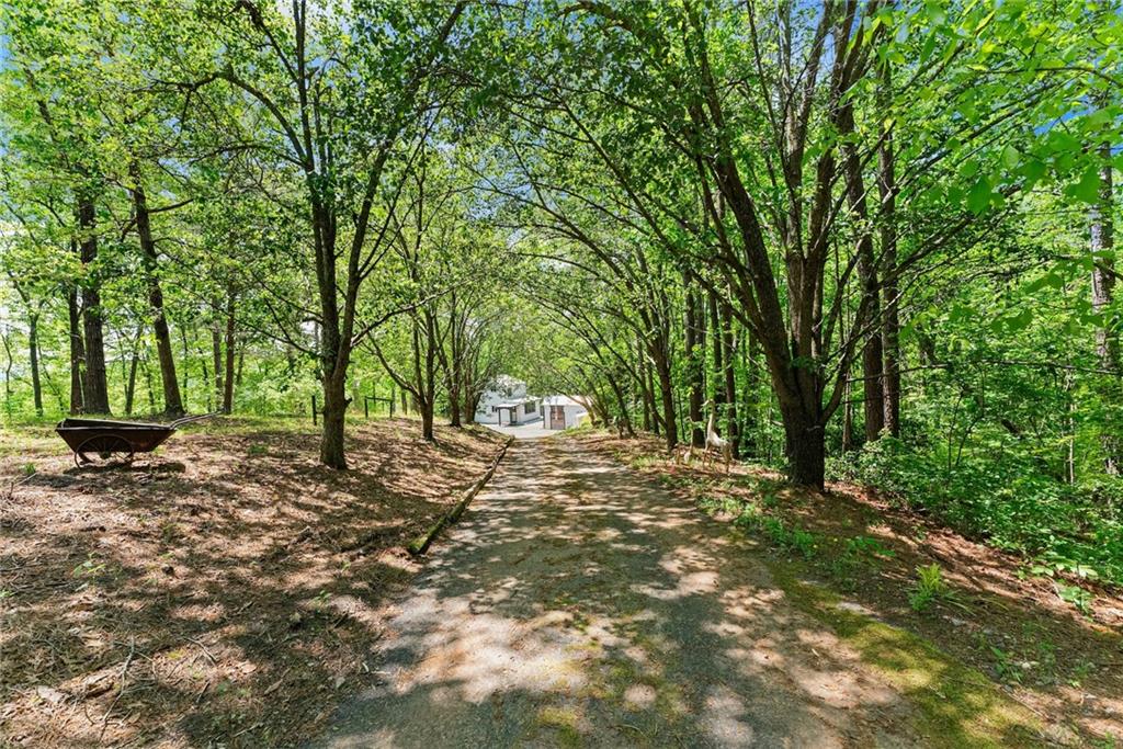 115 Rabbit Run, Dawsonville, Georgia image 49