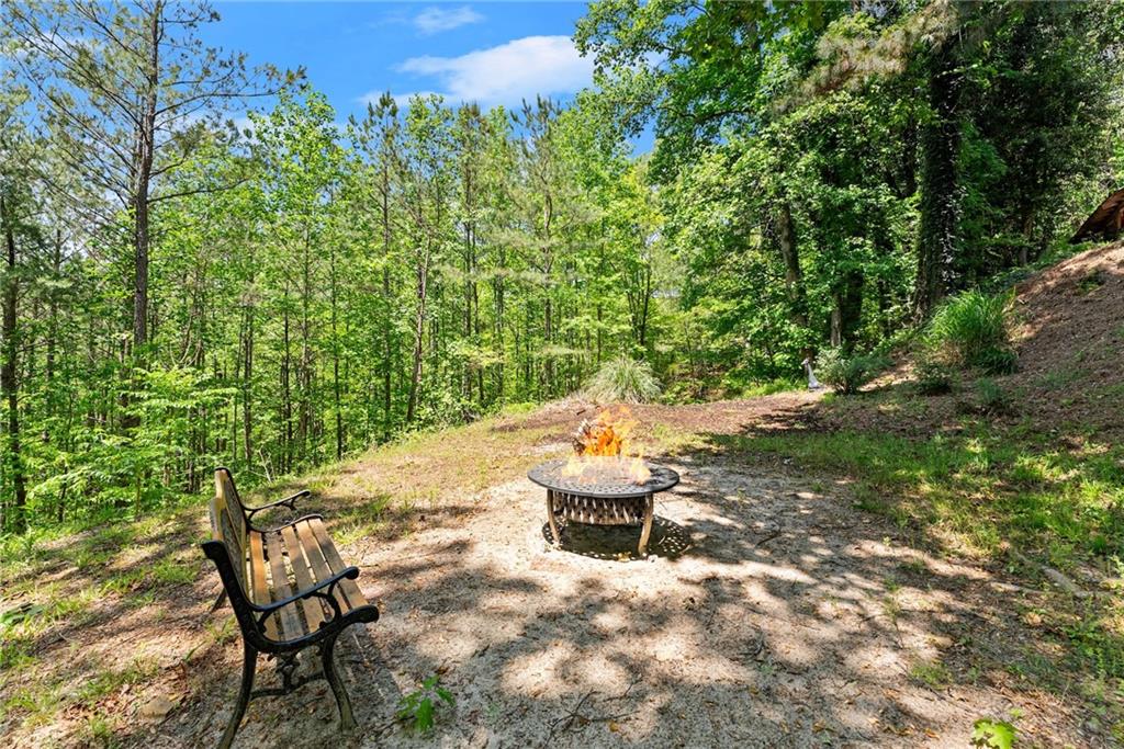 115 Rabbit Run, Dawsonville, Georgia image 35