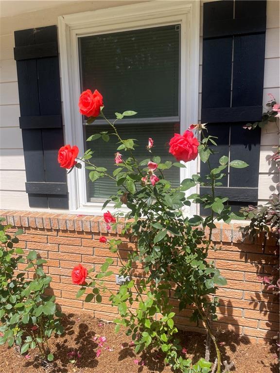 215 Old Mize Road, Toccoa, Georgia image 5