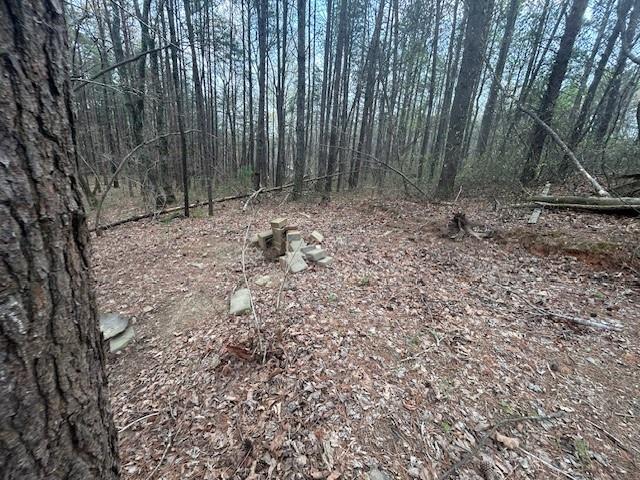 199 Moores Gin Road, Fairmount, Georgia image 17