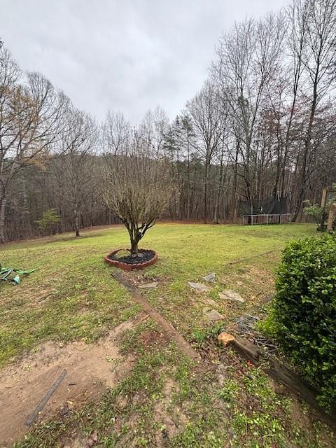 199 Moores Gin Road, Fairmount, Georgia image 6