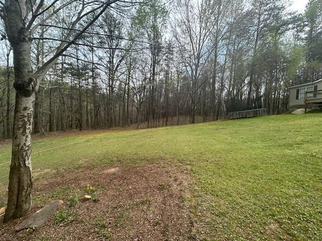 199 Moores Gin Road, Fairmount, Georgia image 22