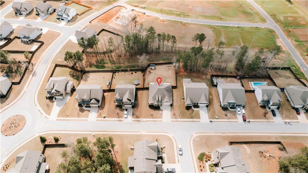 72 Blue Billed Crossing