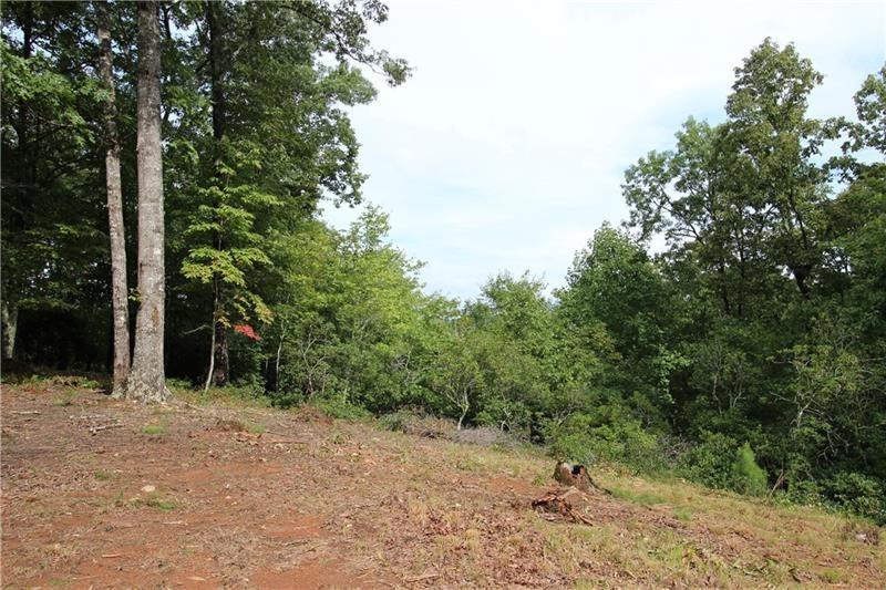 1034 Ainu Court, Dahlonega, Georgia image 7